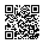 [M2a]SAR サーファー（MEGAドリームex 249/193 トレーナーズ ）[M2a249] QRコード