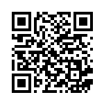 [MBG]パンクメット（MEGA スターターセット 017/021 トレーナーズ Iレギュ）[MBG017] QRコード