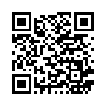 [MBG]アイリスの闘志（MEGA スターターセット 019/021 トレーナーズ Iレギュ）[MBG019] QRコード