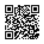 [PBG]プラズマ団のしたっぱ（プラズマ団バトルギフトセット 014/016 サポート トレーナーズ ）[PBG014] QRコード