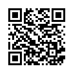 [S-P]ニャースV（Sプロモ 028/350 無 ）[S-P028] QRコード