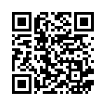 [S-P]ふしぎなアメ（Sプロモ 052/350 トレーナーズ グッズ ）[S-P052] QRコード