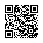 [S-P]ピカチュウVMAX（Sプロモ 123/350 雷 ）[S-P123] QRコード