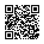 [S-P]プレシャスボール（Sプロモ 167/350 トレーナーズ グッズ ）[S-P167] QRコード