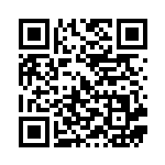 [S-P]バンギラスV（Sプロモ 185/350 悪 ）[S-P185] QRコード