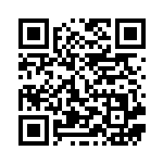 [S-P]レックウザV（Sプロモ 210/350 竜 ）[S-P210] QRコード