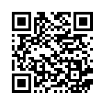 [S-P]からぶりほけん（Sプロモ 221/350 トレーナーズ ポケモンのどうぐ ）[S-P221] QRコード