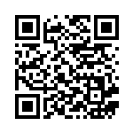 [S-P]キバナ（Sプロモ 228/350 トレーナーズ サポート ）[S-P228] QRコード