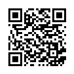 [S-P]キバナ（Sプロモ 264/350 トレーナーズ サポート ）[S-P264] QRコード