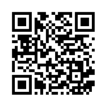 [S-P]ヒスイバクフーンV（Sプロモ 308/350 超 ）[S-P308] QRコード