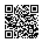 [S-P]バトルサーチャー（Sプロモ 346/350 トレーナーズ グッズ ）[S-P346] QRコード