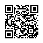 [S10a]U ライチュウ（ダークファンタズマ 015/071  ）[S10a015] QRコード