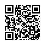 [S10a]HR ヒスイヌメルゴンVSTAR（ダークファンタズマ 091/071  ）[S10a091] QRコード