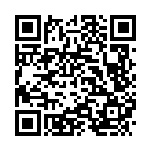 [S10b]基本炎エネルギー（Pokémon GO 02e/071  ）[S10b002e] QRコード