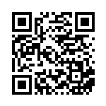 [S10b]R ピカチュウ（Pokémon GO 028/071  ）[S10b028] QRコード