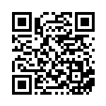 [S10b]HR メルメタルVMAX（Pokémon GO 085/071  ）[S10b085] QRコード