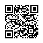 [S10P]R トゲキッス（スペースジャグラー 028/067  ）[S10P028] QRコード