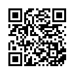 [S10P]HR オリジンパルキアVSTAR（スペースジャグラー 081/067  ）[S10P081] QRコード