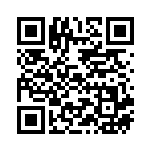 [S11]RR ロトムV（ロストアビス 037/100  ）[S11037] QRコード