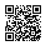 [S12]RR レジエレキV（パラダイムトリガー 033/098  ）[S12033] QRコード