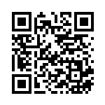 [S12]U ルガルガン（パラダイムトリガー 054/098  ）[S12054] QRコード