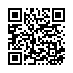 [S12]SR ルギアV（パラダイムトリガー 110/098  ）[S12110] QRコード