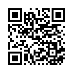 [S12]HR レジドラゴVSTAR（パラダイムトリガー 117/098  ）[S12117] QRコード