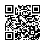 [S12a]RR リーフィアV（VSTARユニバース 011/172  ）[S12a011] QRコード