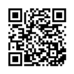 [S12a]RR バオッキーV（VSTARユニバース 020/172  ）[S12a020] QRコード