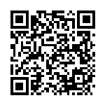 [S12a]レジアイス（VSTARユニバース 025/172  ）[S12a025] QRコード