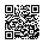 [S12a]RR オリジンパルキアV（VSTARユニバース 027/172  ）[S12a027] QRコード