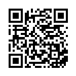 [S12a]RRR オリジンパルキアVSTAR（VSTARユニバース 028/172  ）[S12a028] QRコード