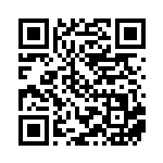 [S12a]RR ライコウV（VSTARユニバース 038/172  ）[S12a038] QRコード