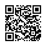 [S12a]RR ガラルファイヤーV（VSTARユニバース 080/172  ）[S12a080] QRコード