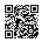 [S12a]R ゾロアーク（VSTARユニバース 091/172  ）[S12a091] QRコード