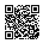 [S12a]パワータブレット（VSTARユニバース 139/172  ）[S12a139] QRコード