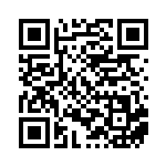 [S12a]レベルボール（VSTARユニバース 143/172  ）[S12a143] QRコード