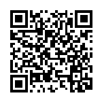 [S12a]ダブルターボエネルギー（VSTARユニバース 171/172  ）[S12a171] QRコード