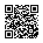 [S12a]AR ノコッチ（VSTARユニバース 198/172  ）[S12a198] QRコード