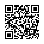 [S12a]AR ピカチュウ（VSTARユニバース 205/172  ）[S12a205] QRコード