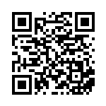 [S12a]AR パラス（VSTARユニバース 207/172  ）[S12a207] QRコード