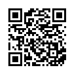 [S12a]SAR エンテイV（VSTARユニバース 213/172  ）[S12a213] QRコード