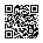 [S12a]SAR バオッキーVSTAR（VSTARユニバース 214/172  ）[S12a214] QRコード