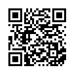 [S12a]SAR ネオラントV（VSTARユニバース 216/172  ）[S12a216] QRコード