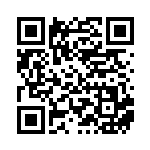 [S12a]SAR ルカリオVSTAR（VSTARユニバース 226/172  ）[S12a226] QRコード