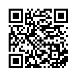 [S12a]SAR レジギガスVSTAR（VSTARユニバース 233/172  ）[S12a233] QRコード