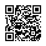 [S12a]SAR ヒスイゾロアークVSTAR（VSTARユニバース 234/172  ）[S12a234] QRコード