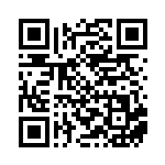 [S12a]SAR キバナ（VSTARユニバース 237/172  ）[S12a237] QRコード