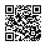 [S12a]SR ウォロ（VSTARユニバース 245/172  ）[S12a245] QRコード