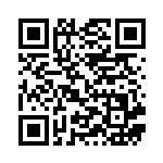 [S1a]C エレザード（VMAXライジング 028/070 雷 ）[S1a028] QRコード